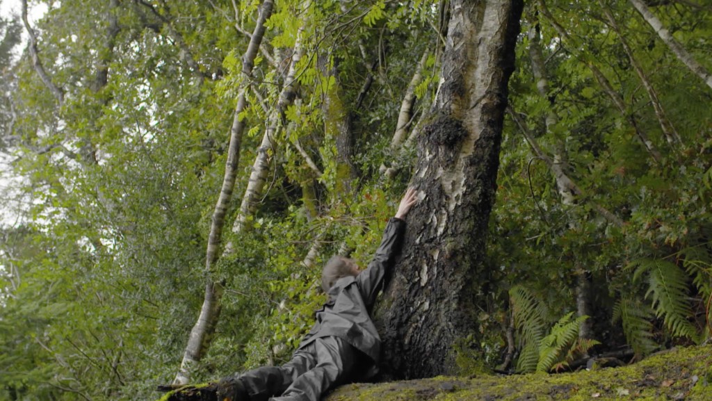 Film still from Far Flung Dances - II (The Wood) by Mary Wycherley. A person falls down a tree in a forest, with arms stretched out toward the sky, they are wearing clothes which blend into the surroundings. 